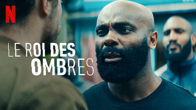 Le Roi Des Ombres Streaming